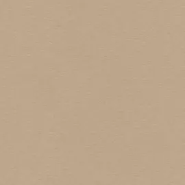 обои 5133-20 erismann arezzo винил на флизе 1.06x10,05 однотонный, бежевый