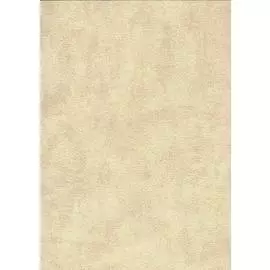 Обои 70026-23 AS Палитра флизелин 1,06*10м фон однотонный, золото