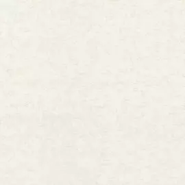 обои 70344-12 аспект вивальди флизелин 1.06x10,05м однотонный бежевый