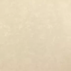 обои 90030-22 vog collection винил на флизе 1,06*10м фон, бежевый