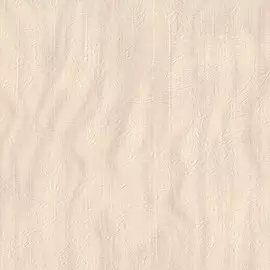 Обои 9028-06 Euro Decor Bali винил на флизе 1.06x10.05