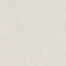 обои 989476 victoria stenova бенжамин флизелин 1,06*10,05м однотонный бежевый