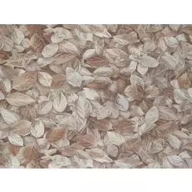 обои е18203 elysium шелест горячее тиснение 1,06*10,06м флористика бежевый