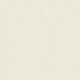 обои hc11040-22 homecolor adore винил 0.53x10,05м однотонный бежевый