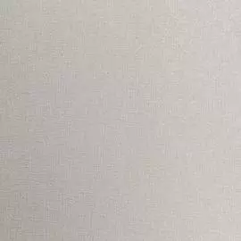 обои палитра family memfis fm71667-24 флизелин 1,06*10,05м однотонный коричневый