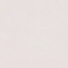 Обои PL71277-11 Палитра 1.06x10.05 Однотонный светло-серый