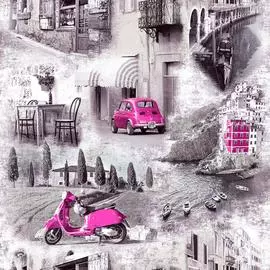 Обои С6-Д503-03 Веспа 03 бумага 0.53x10, сюжет, розовый