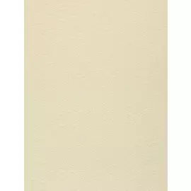 Обои СБ54 Нарзан 51 флизелин 1,06м*10,05м фон, желтый