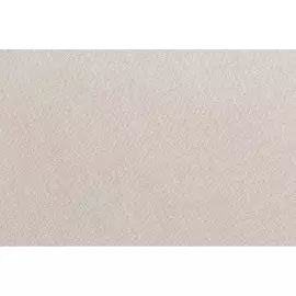 Обои TC71230-88 Trendcolor винил на флизе 1.06x10.05, Однотонный, бежевый