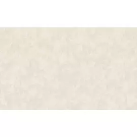 обои vernissage 168449-13 exotica флизелин 1,06*10,05м однотонный бежевый