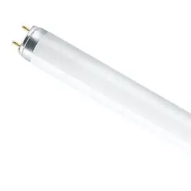 Osram Лампа люминесцентная L 36W/765 T8 G13