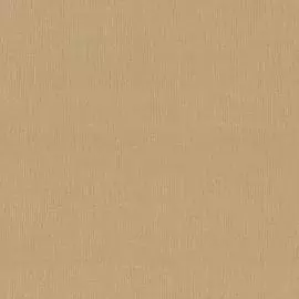 OVK 10276-09 Обои OVK Design (Inspiration by Dieter Langer) (1*6) 10,05х1,06 винил на флизелине