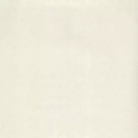 OVK 34505-2 Обои OVK Design (Excellent 4) (1*6) 10,05х1,06 винил на флизелине