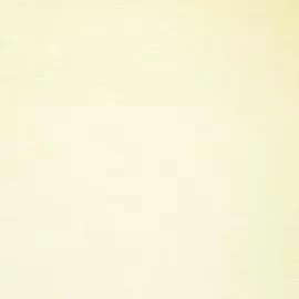 OVK 36088-1 Обои OVK Design (Excellent 6) (1*6) 10,00х1,06 винил на флизелине