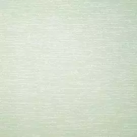 OVK 36088-4 Обои OVK Design (Excellent 6) (1*6) 10,00х1,06 винил на флизелине