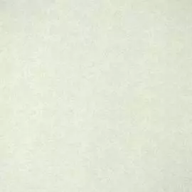 OVK 36113-1 Обои OVK Design (Excellent 6) (1*6) 10,00х1,06 винил на флизелине