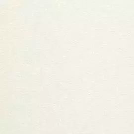 OVK 4047-2 Обои OVK Design (Excellent 4) (1*6) 10,05х1,06 винил на флизелине