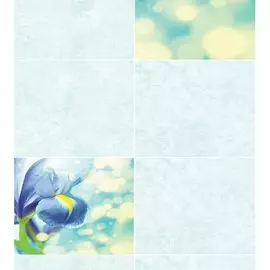 панели пвх 2700x250x8мм эдельвейс