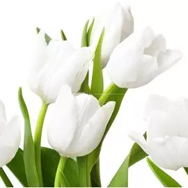 панно азори элара верде 40,5x40,2