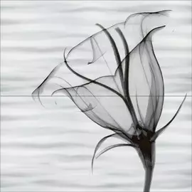 Панно Esta 1 (2 плитки) 49,8х50,0