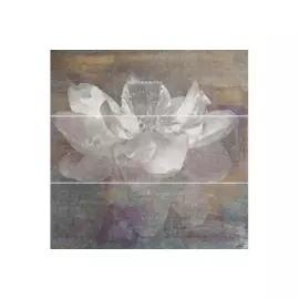 панно manteia colour a (3) 60x60 43540