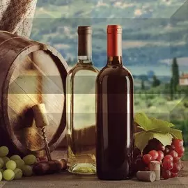 панно wine map 1 из 2-х декоративных изразцов 20*20 dd425_p2-1