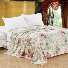 Плед Cleo вирджиния 200*220 велсофт 032