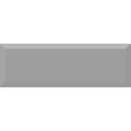 Плитка Biselado Brillo Plata 10x30