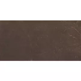 Плитка настенная 24,9*50 Marble Marron