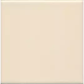 Плитка настенная Salmon Matt M20*20, RAL 040 70 20, 759023 Vitra 400953