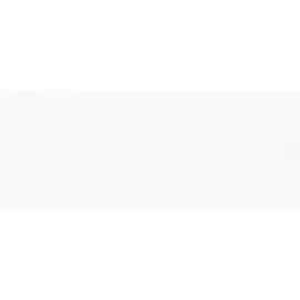 Плитка настенная SPLENDIDA BLANCO 20.1*50.5