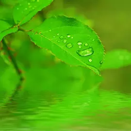 Постер 35*35 J_60521967