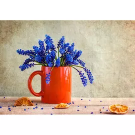 Постер 35*35 J_70880799