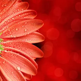 Постер 40*40 A_7676139