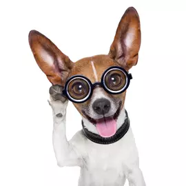 Постер 40*40 A _39329909