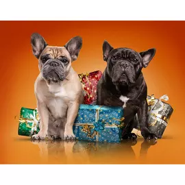 Постер 40*40 A _89153820