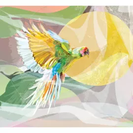 постер 410х445 "высокие вибрации" попугай 9497