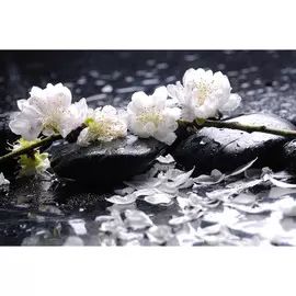 Постер 50*30 B _22400477