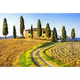 Постер 50*30 B _80729870