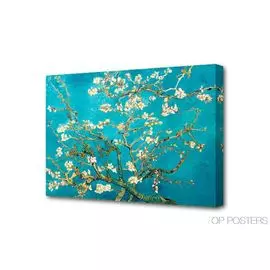 Постер 50*70 Миндаль J-1021H