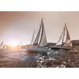 постер 50х70 "sepia-calm" 7801