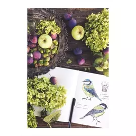 постер 50х70 "в гармонии" 7830