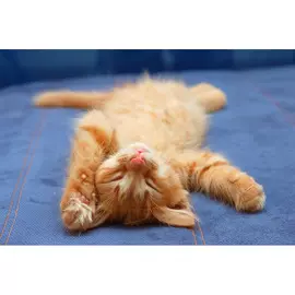 Постер 75*50 E_12112121