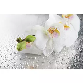 Постер 75*50 E_18038657