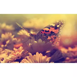 Постер 75*50 E_24893693