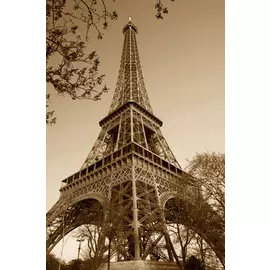 Постер 94*55 D_1803722