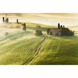 Постер 94*55 D_18910197