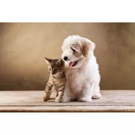 Постер 94*55 D_19146845