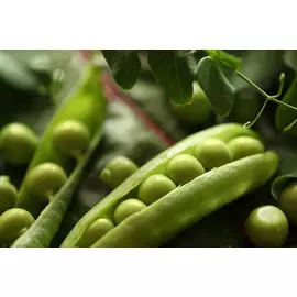 Постер 94*55 D_3632656