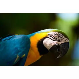 Постер 94*55 D_4046271